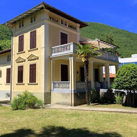 Apartman Villa Amelia Moscenicka Draga Exterior photo